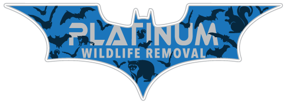 Comstock Wildlife Control
